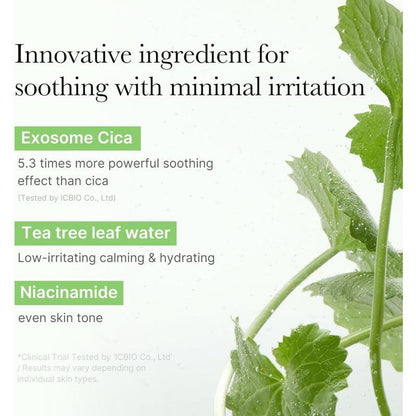 Exosome Cica Pad 100PCS